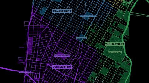 After Contentious Primaries, NYU Sets Sights on November Elections