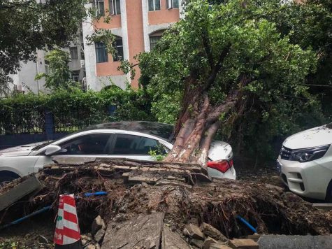 At NYU, Students Sheltered From Storms