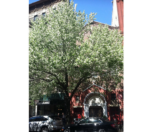 Weekend Roam: Little Italy