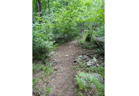 Fitness Finds: Take it to the Trails