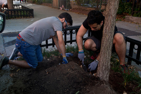 NYUGreen Day of Service beautifies LES